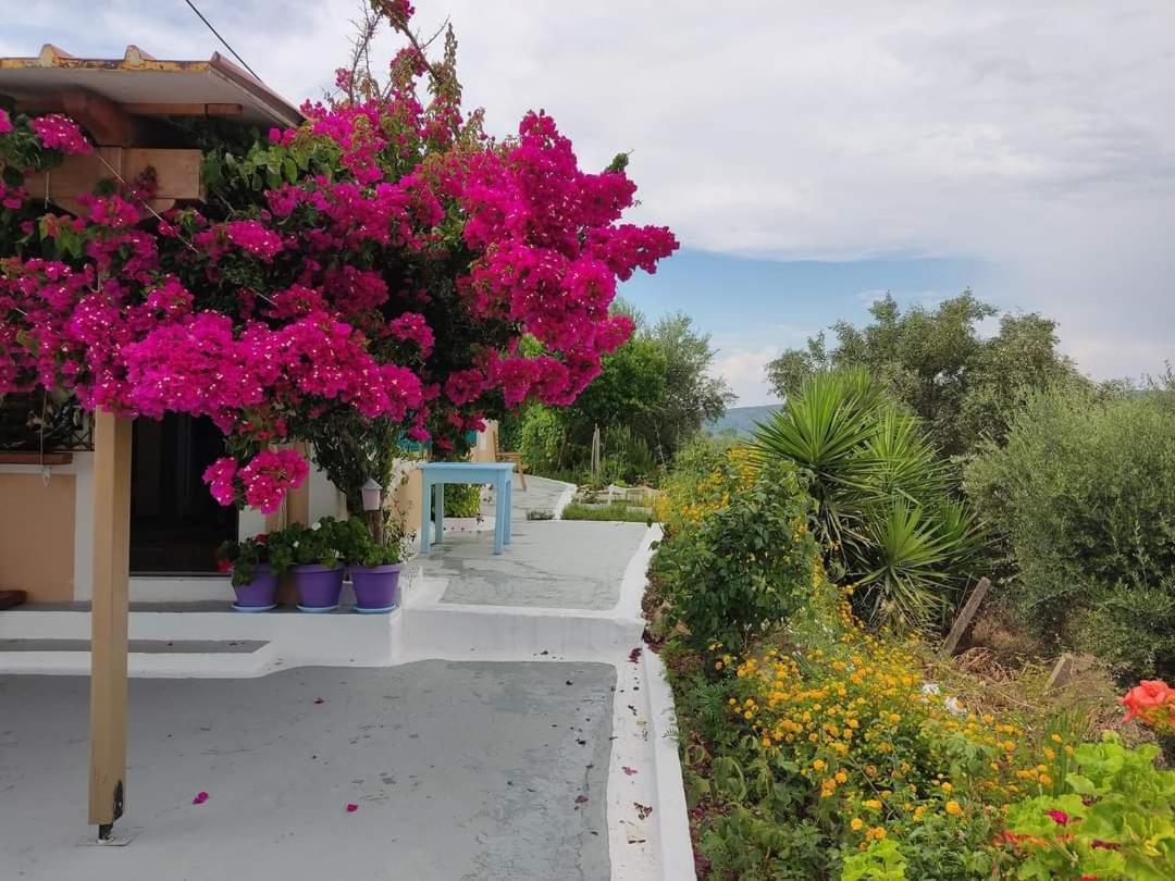 Villa Thea Kato Samikon Extérieur photo